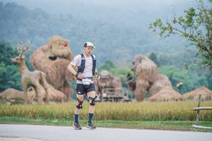 BIB: 9092
                            <button type="button" onclick="openModal(22305484)" class="btn btn-primary btn-sm float-right btn-popup" data-toggle="modal" data-target=".modal-high-quality">
                        <i class="fas fa-shopping-cart"></i> Add to Cart
                    </button>
                                            <button type="button" onclick="isThisMe(22305484, true)" class="btn btn-success btn-sm float-right btn-popup btn-isme hidden" data-toggle="tooltip" data-placement="bottom" title="นี่คือรูปของคุณใช่ไหม คลิกที่นี่เพื่อเอาเข้าอัลบั้ม">
                        <i class="fas fa-plus"></i> Add to album
                    </button>
                    <button type="button" onclick="isThisMe(22305484, false)" class="btn btn-warning btn-sm float-right btn-popup btn-isnotme hidden">
                        <i class="fas fa-ban"></i> Remove from album
                    </button>